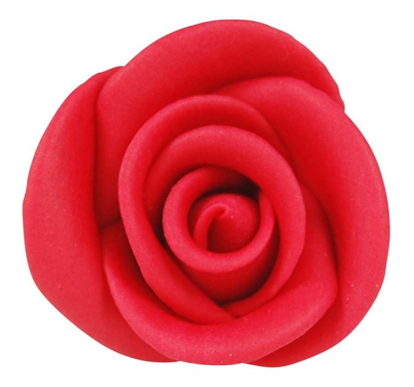 Zuckerrosen-groß-rot