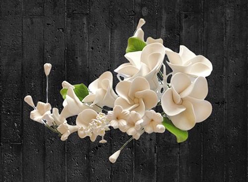 Zucker-Blumenbouquet Frangipani weiß